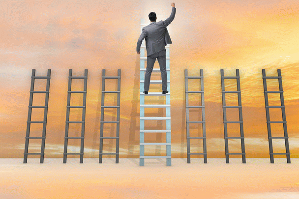 14 نکته در مورد 3 نوع بیماری انگلی شایع در سگ ها